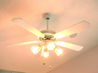 a-ceiling-fan